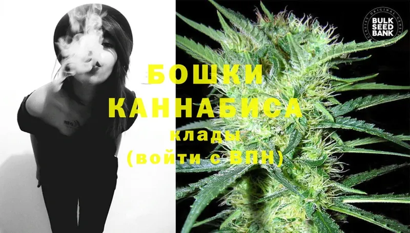 Каннабис White Widow  продажа наркотиков  MEGA как зайти  Павлово 